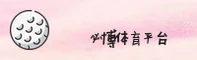 使用指南与常见问题